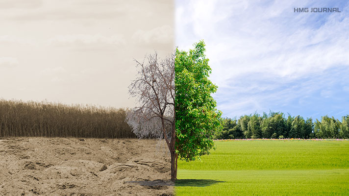 환경 파괴된 자연(좌)과 푸르른 자연(우)