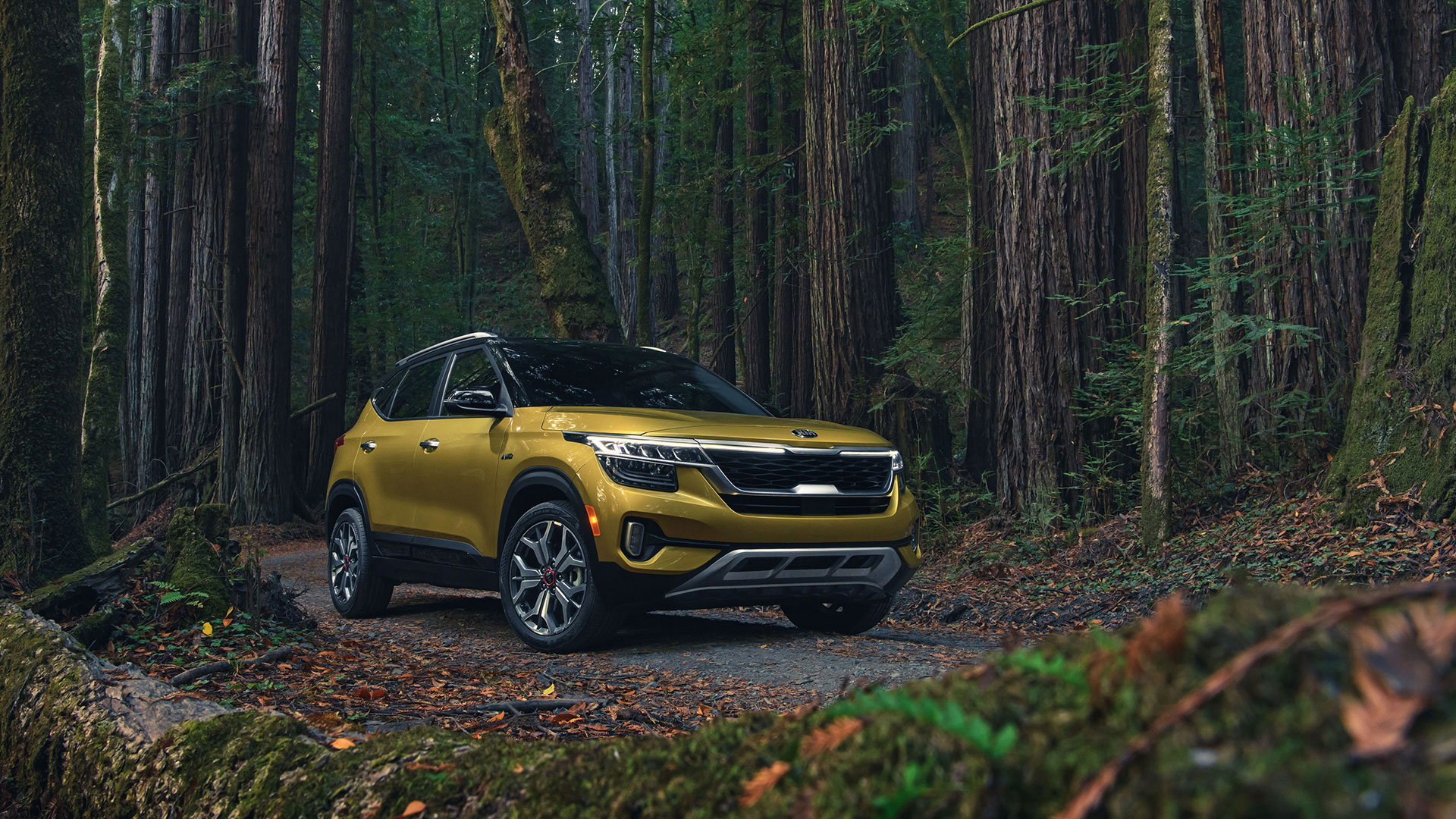 Kia Seltos and Telluride earn three top honors in 2021 Kelley Blue Book Best Buy Awards Kia Seltos and Telluride earn three top honors in 2021 Kelley Blue Book Best Buy Awards