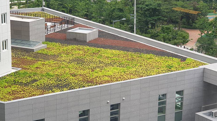식물들이 자라고 있는 건물 옥상