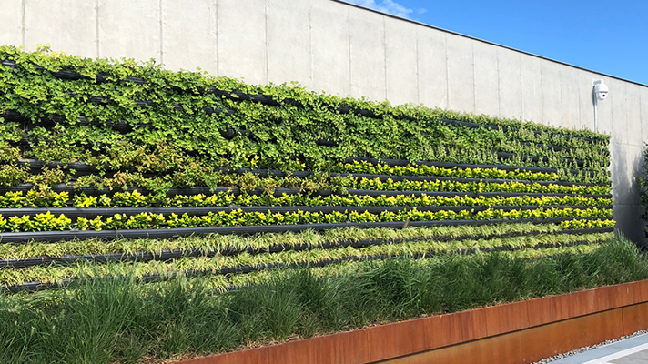 식물로 덮힌 건물 벽면