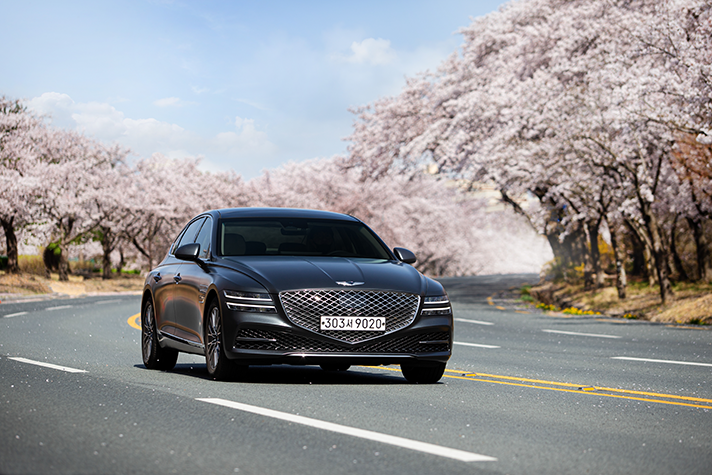 벚꽃이 만개한 도로를 달리는 제네시스 G80 모습