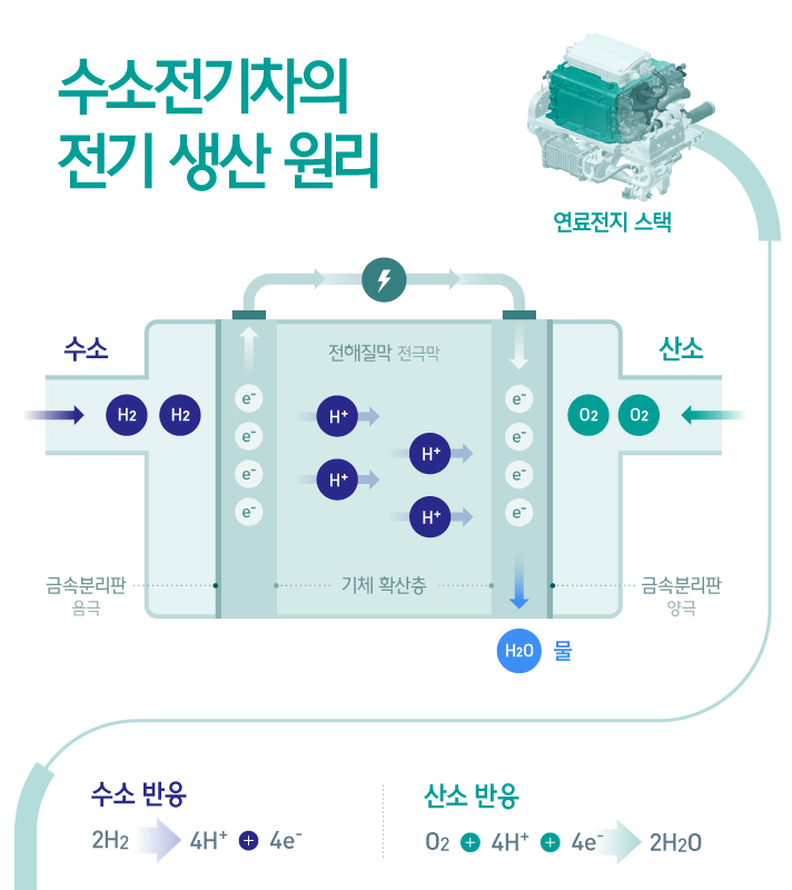 수소를 음극에 공급하면 수소는 수소이온 H+ 과 전자 e-로 산화되고 양극에서는 산소와 전해질을 통해 이동한 수소이온과 전자가 결합하여 물을 생성시키는 환원반응이 일어난다. 이 과정에서 전자의 외부 흐름이 전류를형성하여 전기를 발생시키는 수소전기차의 전기 생산 원리를 설명한 인포그래픽