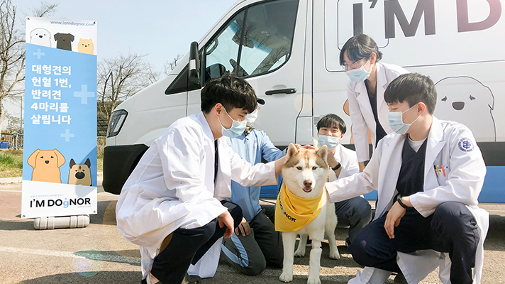 헌혈이 필요한 반려동물을 위한 I’M DOgNOR 캠페인