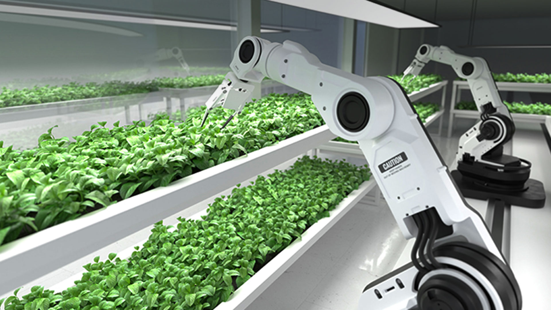 실내에서 식물을 가꾸고 있는 농업 로봇