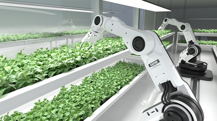 식물을 가꾸고 있는 농업용 로봇의 모습