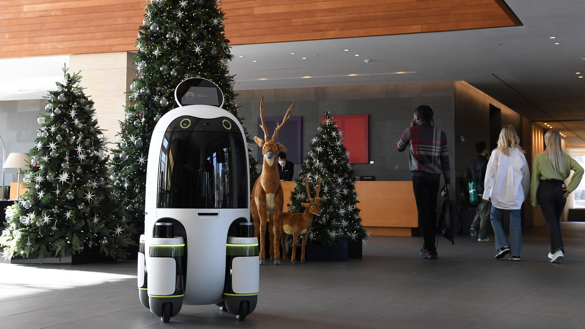 Hyundai Motor Group Robots Get Rolling with Pilot Programs to Advance  Last-mile Delivery
