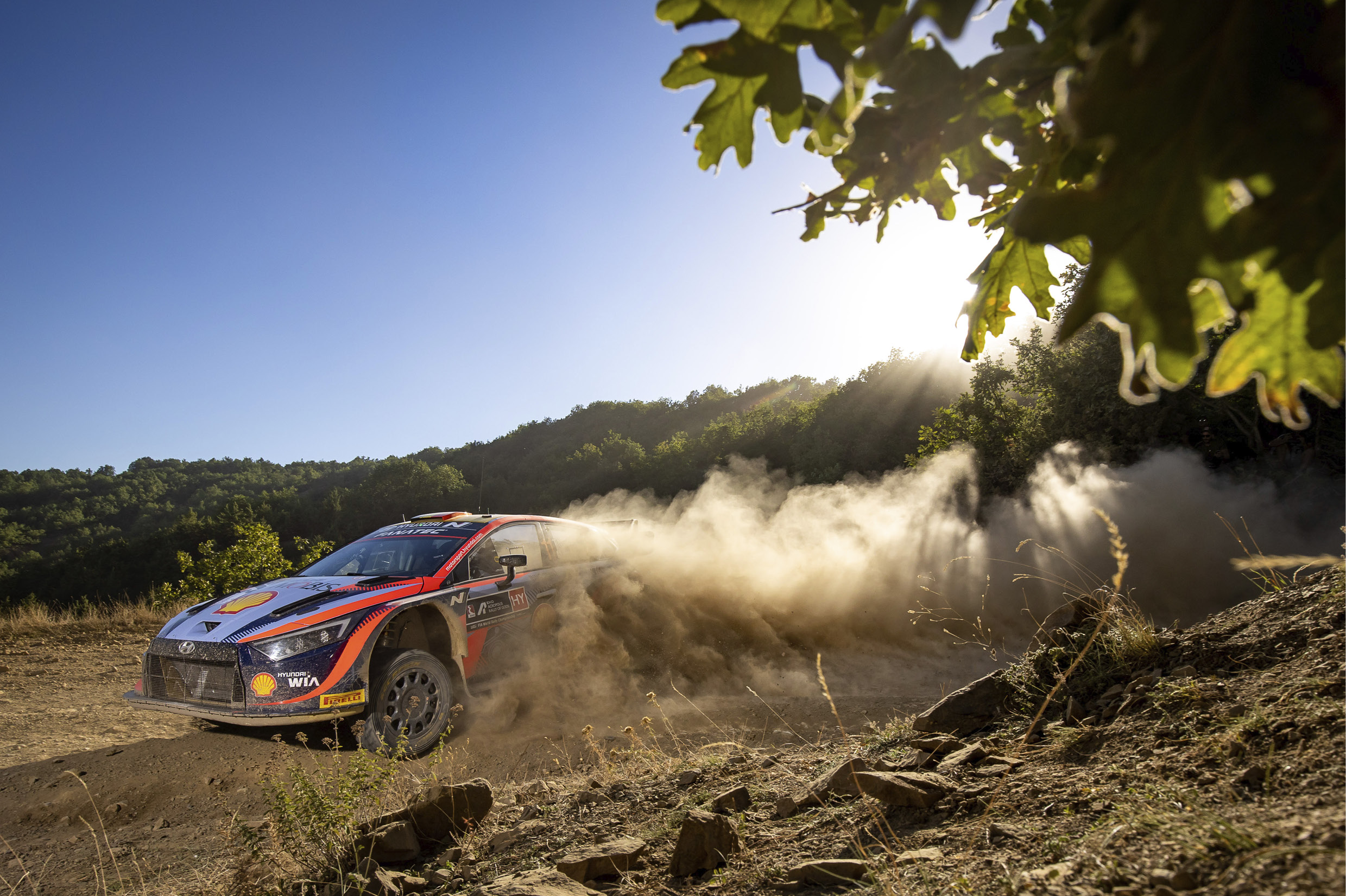 흙을 휘날리며 달리는 WRC 경주차의 모습