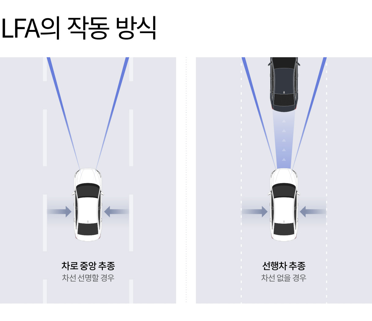 LFA의 작동 방식을 나타내는 인포그래픽