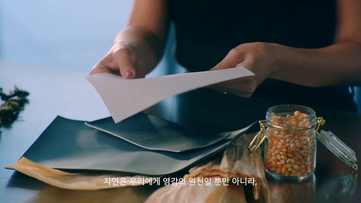 버섯으로 만든 친환경 소재